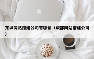 嘉兴东城网站搭建公司有哪些（成都网站搭建公司）